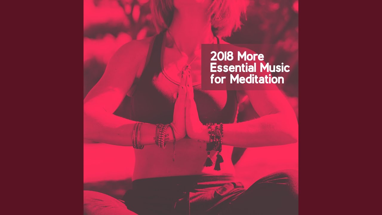 Contemplative Action