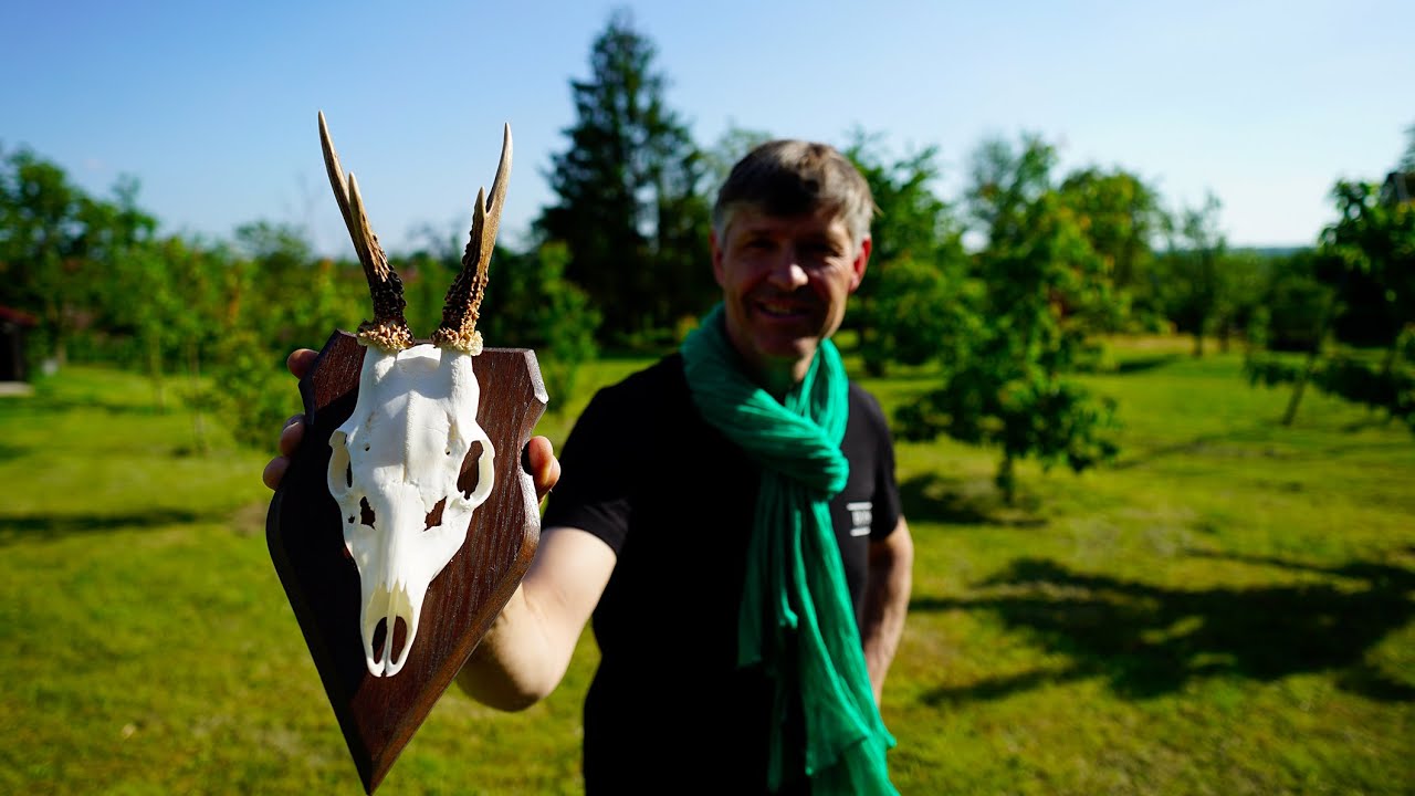 Oreiller Trophée Chasse Au Renard – Neuf Avec étiquette