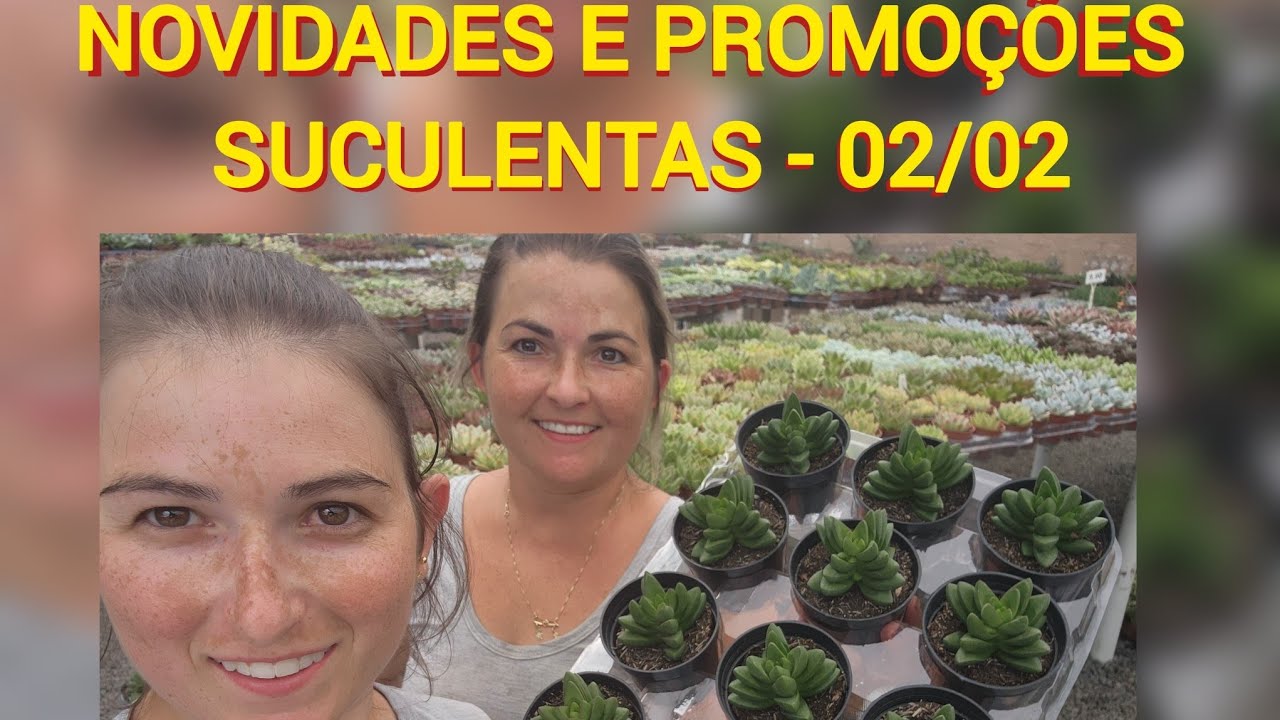 NOVIDADES e PROMOÇÕES - Suculentas 02/02