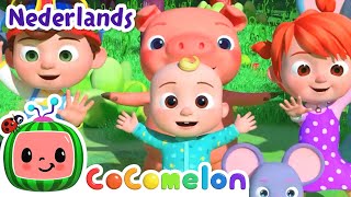 De Dierendans | CoComelon Nederlands - Kinderliedjes