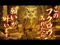 【緊急】※このフクロウを見れたら、願いが叶います。黄金の頷きは、神様からの「お告げ」です【金運音楽】