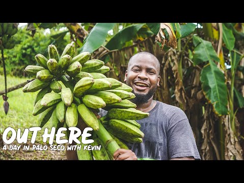 Garden Planting, Fish Market, Mud Oven Bread & More in Palo Seco, Trinidad & Tobago