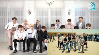 SEVENTEEN REACTION NOW UNITED SUMMER IN THE CITY IN SENEGAL