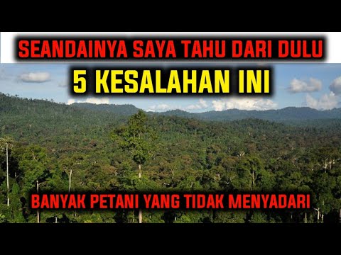 Video: Apakah perbezaan antara hutan boreal dan hutan sederhana?