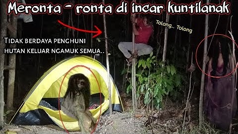 Camping horor trauma dan gemetar di incar hantu kuntilanak edan sampai tak berdaya di hutan angker
