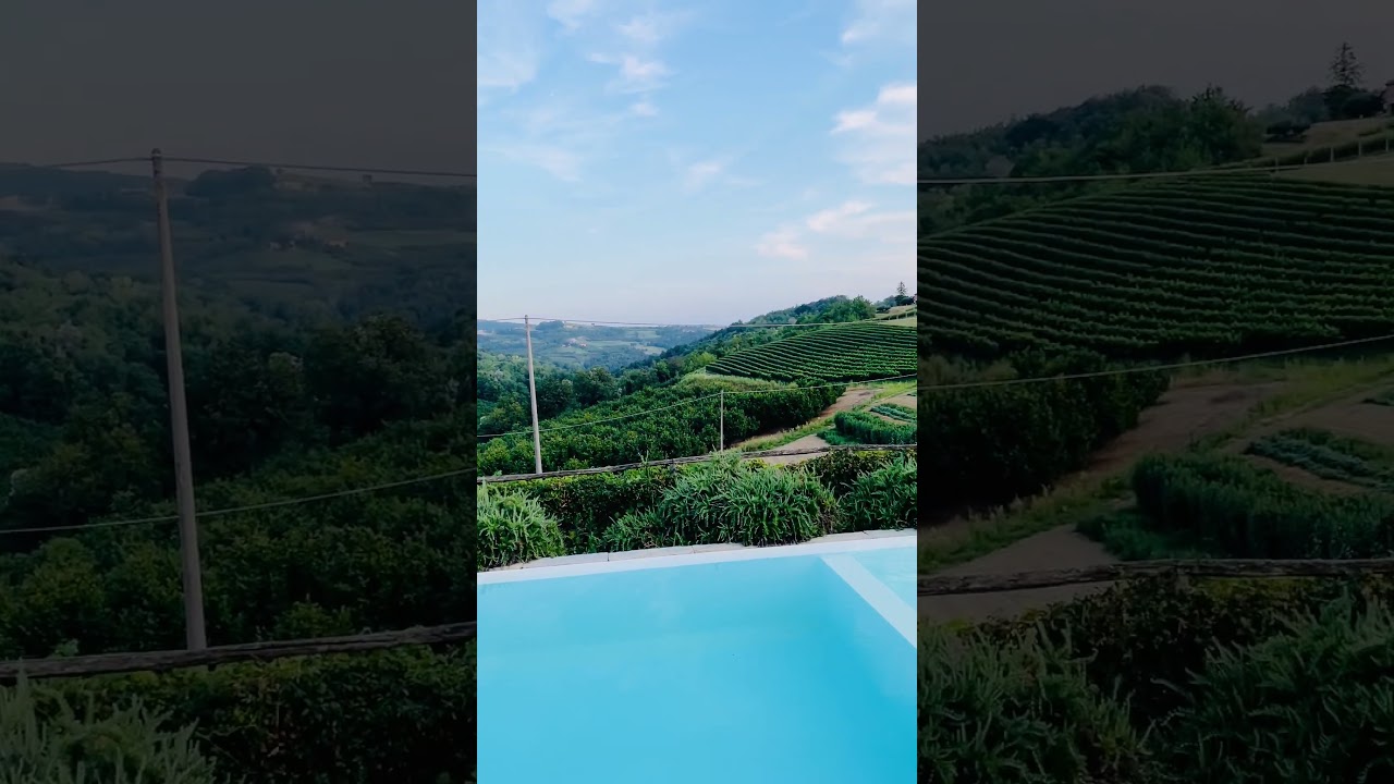 Monforte d’Alba: stunning infinity pool view on vineyards 