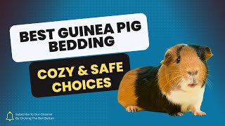 Cozy and Safe: Best Fabrics for Guinea Pig Bedding screenshot 4