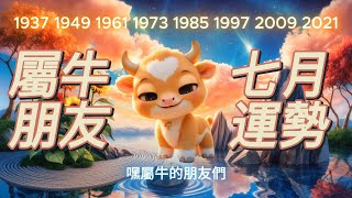 屬牛2025年7月運勢｜穩中求進，機遇綻放！《喇嘛仔占星館》 #屬牛運勢 #七月運勢 #屬牛 #生肖  #生肖屬牛 #生肖牛