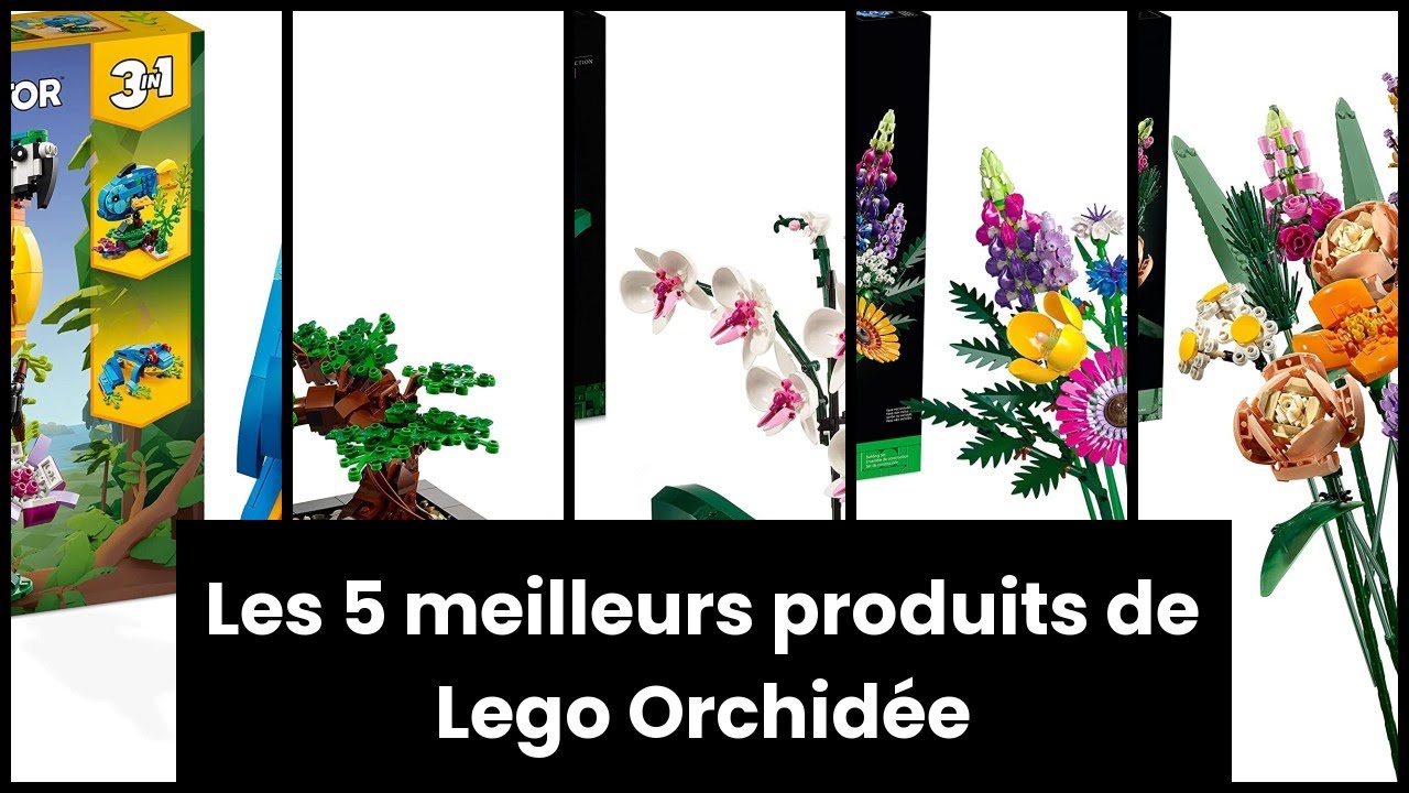 LEGO 10313 Icons Bouquet De Fleurs Sauvages, Plantes Artificielles avec  Coquelicots Et Lavande, Activité Manuelle pour Adulte