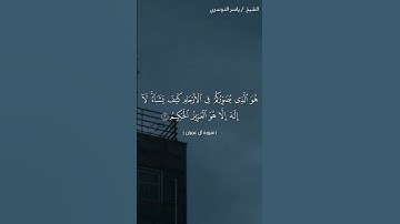 سورة آل عمران (٥ - ٦) / ياسر الدوسري