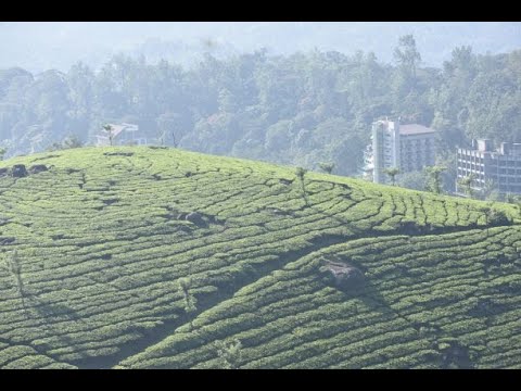 Munnar Tourist Places....