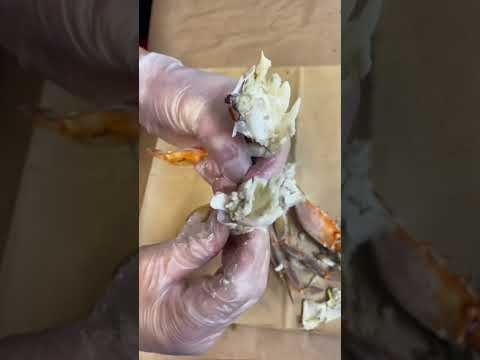 How to Remove Meat from Maryland Blue Crab — Ocean City, Maryland How to Remove Meat from Maryland Blue Crab — Ocean City, Maryland