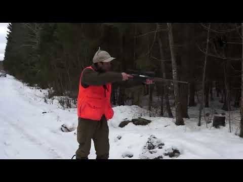 Video: Wild Boar Hunting In Winter: Features