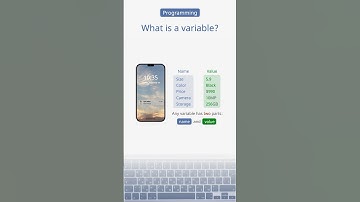 What is a Variable in Programming? #programming