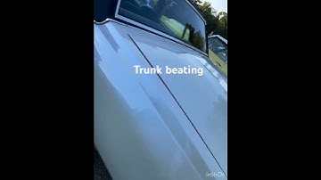 Box Chevy trunk beating 8 Pboyz 12s on 2 Pboyz 16k #bass #bassheads #boxchevy