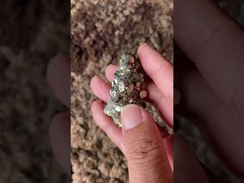 Pyrite #3