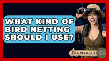 What Kind Of Bird Netting Should I Use? - Bird Watching Diaries