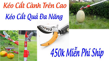 Các Mẫu Kéo Cắt Cành Trên Cao Kéo Hái Quả Siêu Sắc Bén Hàng Nhập Khẩu Đài Loan