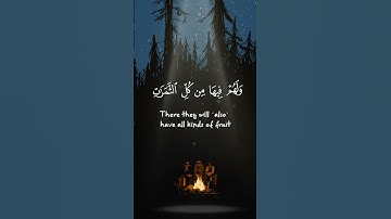 القارئ ماهر المعيقلى قرأن كريم حالات دينية