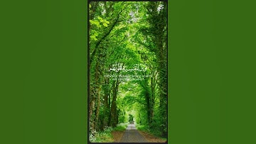 اكتب شيء تؤجر عليه 🌸🎧 #quran #قرآن #تلاوة_خاشعة
