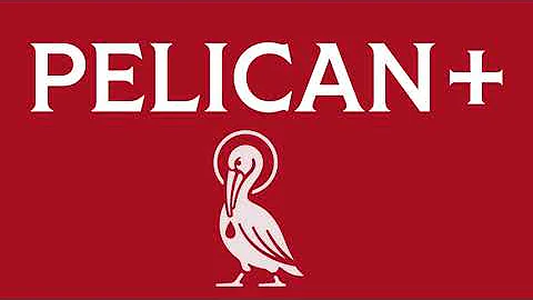 Why Pelican Plus?