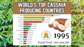 Top 15 Cassava Producing Countries In The World!