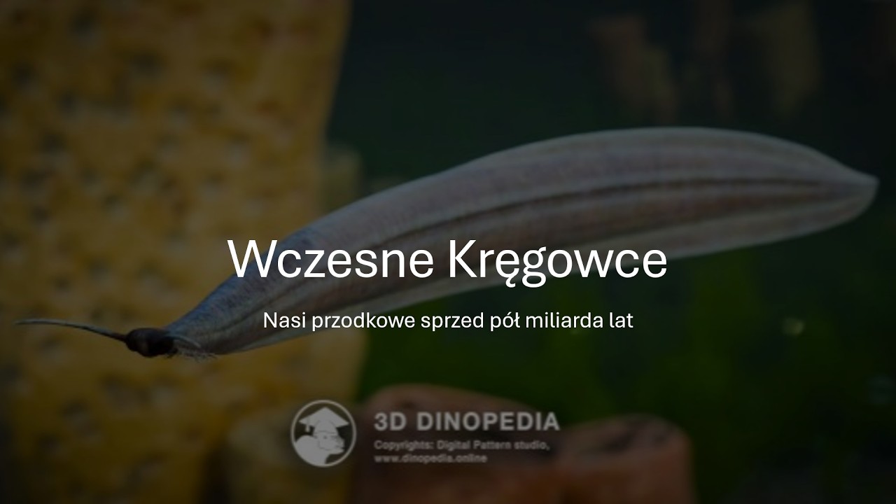Pikaia i inne wczesne kręgowce