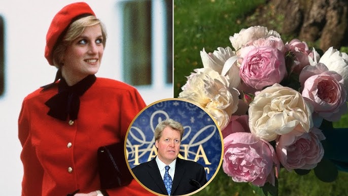 Heartbreaking TRIBUTE: Diana's Brother Honors Her on 28th Anniversary - YouTube