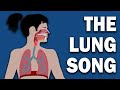 Respiratory System Quiz