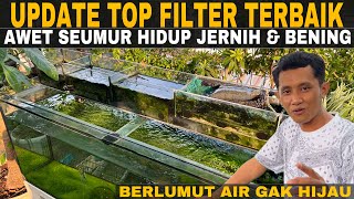 kondisi TOP FILTER AQUARIUM TERBAIK AWET SEUMUR HIDUP BERLUMUT TAPI AIR TIDAK HIJAU DAN BENING