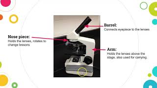 Parts of Microscope