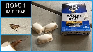 Roach Bait Traps Open Season