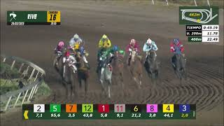 Vidéo de la course PMU PRIX VETERINARIOS