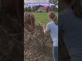 Old School Walking Plow in Action | Real Farm Work Vibes 🚜🌾#farming #agriculture #farm #walking