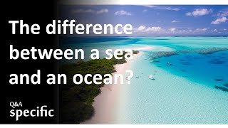What is the difference between a sea and an ocean?