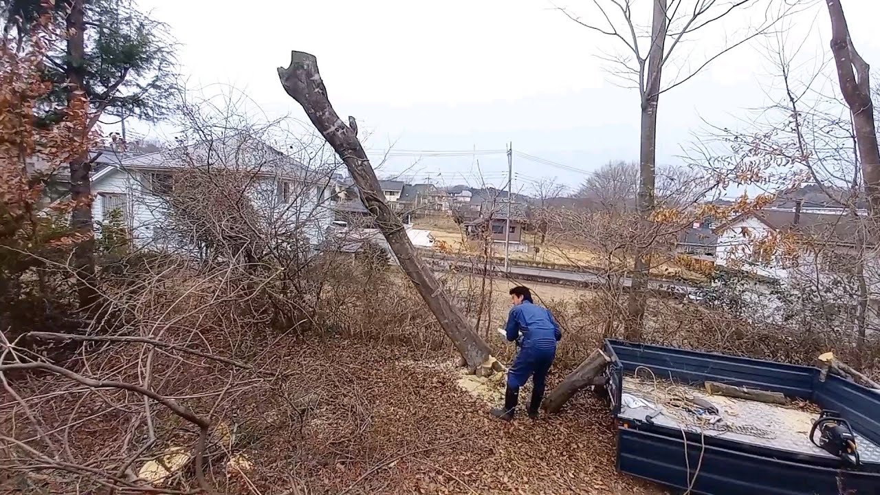 【マキタ 18V 充電式チェンソーMUC357D】　大木もサクサク切断🎵～ジムニー&ブラストトレイルT33も大活躍！