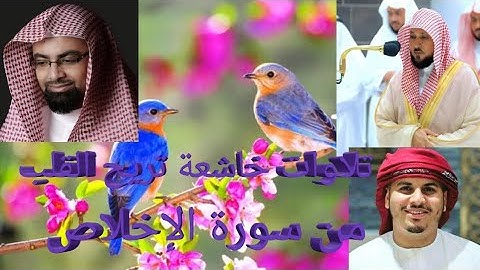 تلاوات خاشعة تريح القلب سورة الإخلاص كاملة #القرآن_الكريم