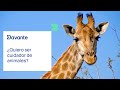 Quiero ser cuidador de animales… ¿es realmente para mí?🦁🐬