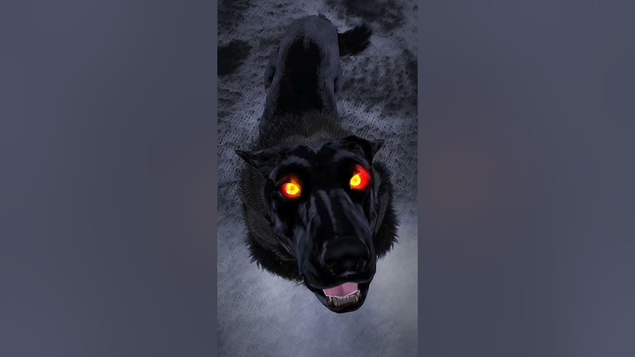 #wolf#wolfsounds #relaxinwolf #animals #wolfsong
