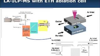 National CyTOF Meeting 2014: Scott Tanner, PhD, Fluidigm Corp