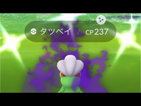 ポケモンgo 色違いシャドウタツベイ出現 色違いコモル 色違いボーマンダへ進化 Shorts Youtube