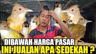 Download lagu MELIMPAH RUAH ! PULUHAN EKOR CUCAK JENGGOT JAWA DIJUAL CUMA SEGINI HARGANYA DIKIOS PASAR PRAMUKA