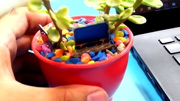 Make your plant smart - An Arduino Project