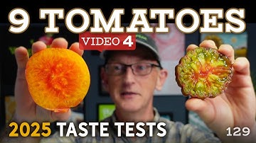 Tomaten - Vierde tomatensmaaktest van 2025 - FRUITIG & ROKERIG