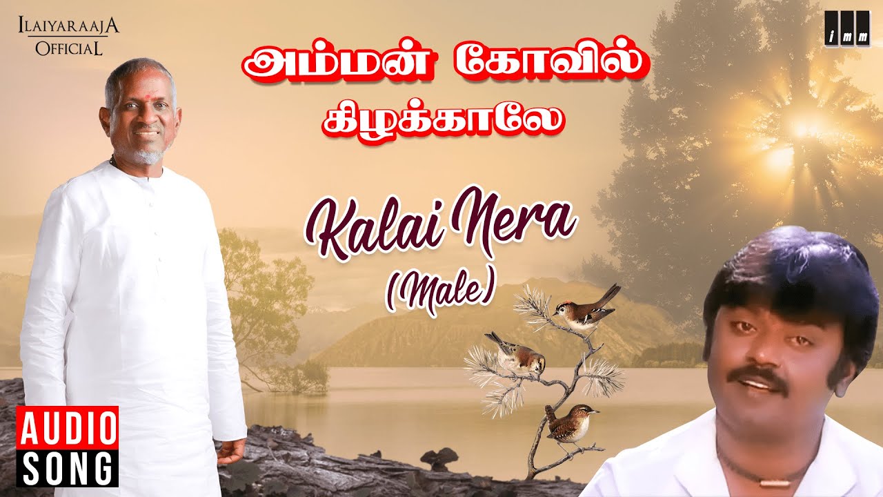 Kalai Nera Male Song  Amman Kovil Kizhakale Movie  Ilaiyaraaja  Vijayakanth  SPB