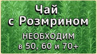 Болезни, Которые Лечит  Чай с Розмарином.