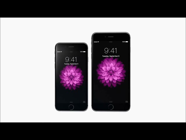 Apple iPhone 6 Plus 16GB - Silver