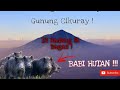 CIKURAY!!! DI HADANG SI BAGAS DI GUNUNG CIKURAY.