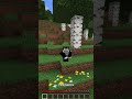 Hardcore Starts NOW | Minecraft Hardcore #minecraft #gaming