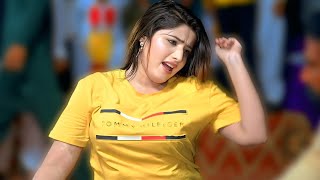 Haan Da Tota | Irfan Angra | Official Video Song | 2025